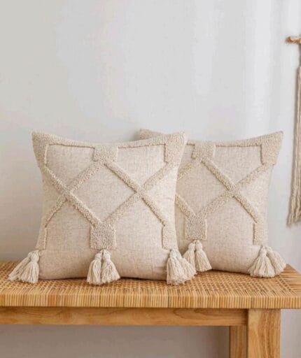 tassel decor cushion