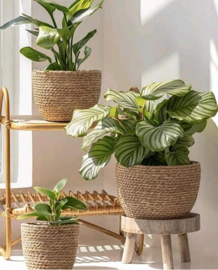 braided plant container