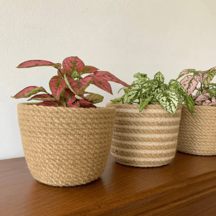 eco Friendly Jute Plant Pot