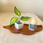 acacia wood serving tray