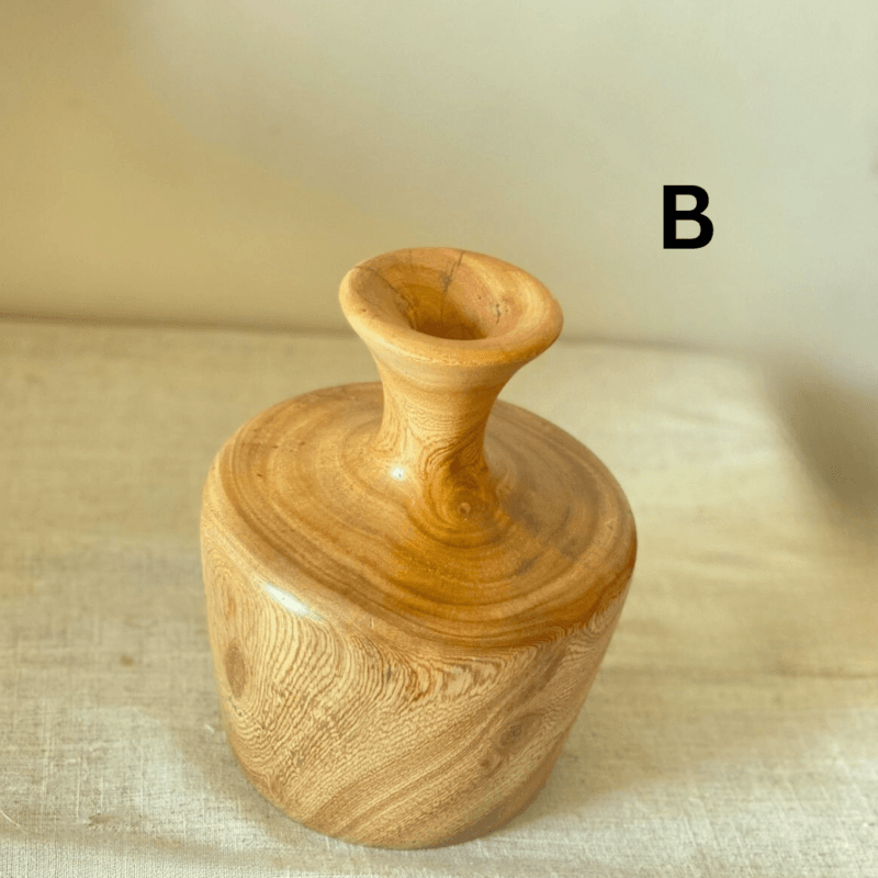 modern plant stands egypt