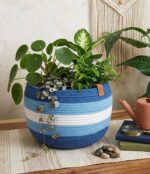 Multicolor baskets suitable as organizer or plants pot