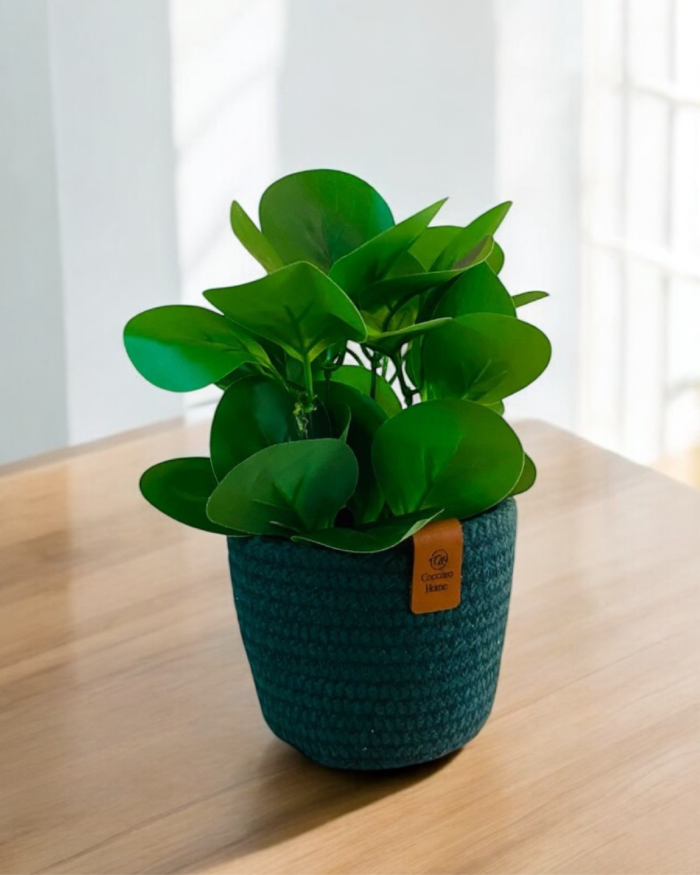 Handcrafted Crochet Cotton Pot and Organizer Basket – Stylish Multipurpose Container for Succulents Small Plants Keys or Office Supplies - Image 5