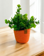 Handmade Cotton Plant Pot