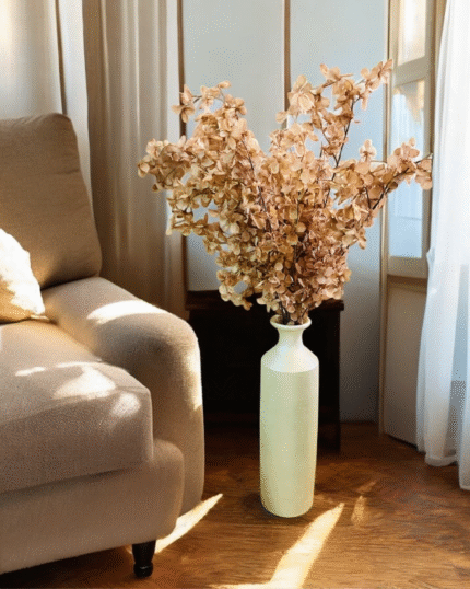 Golden eucalyptus stem plant