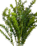 1PC Artificial leaf-Tropical green Leaf-55 CM Artificial plant - Image 4