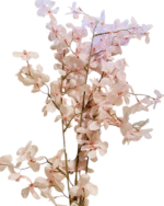 1PC Artificial leaf-Blush Eucalyptus Stem – Soft Pink Dried Foliage-120 CM Artificial plant - Image 3