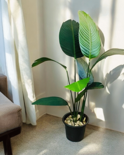 Calathea Grace artificial plant