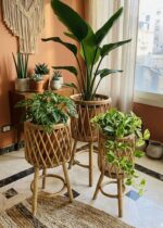 Coccaro Rattan Plant Stand Set – Handwoven Natural Boho Decor (Set of 3) - Image 2
