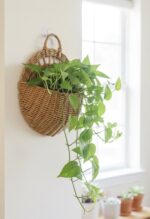 Handmade Rattan Wall Hanging Basket with Leather Handle – Round Woven Seagrass Planter & Storage Organizer for Indoor Plants Flowers and Home Décor – Rustic Boho Wall Pocket Basket – 37 x 27 cm (Natural & Dark Brown Options) - Image 4