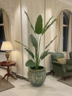 Large Olive Green Handcrafted Terracotta Planter Pot – Decorative Indoor & Outdoor Plant Pot