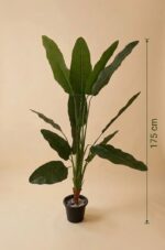 Artificial Banana Tree Plant – Tropical Indoor Decor Statement - Image 2