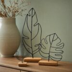 Banana Leaf in a living space